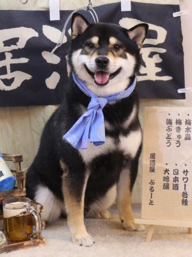 20240608ココくん